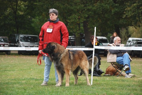 Balthus &agrave; 2ans et demi